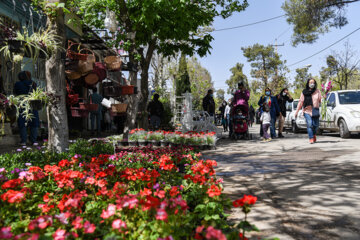 Marché aux fleurs de Chiraz à l’approche du Nouvel An