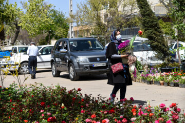 Marché aux fleurs de Chiraz à l’approche du Nouvel An