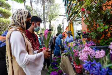 Marché aux fleurs de Chiraz à l’approche du Nouvel An