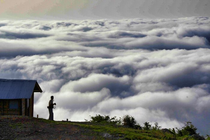 رودبار گیلان؛ همنوایی طعم زیتون با زیبایی جاذبههای گردگشگری