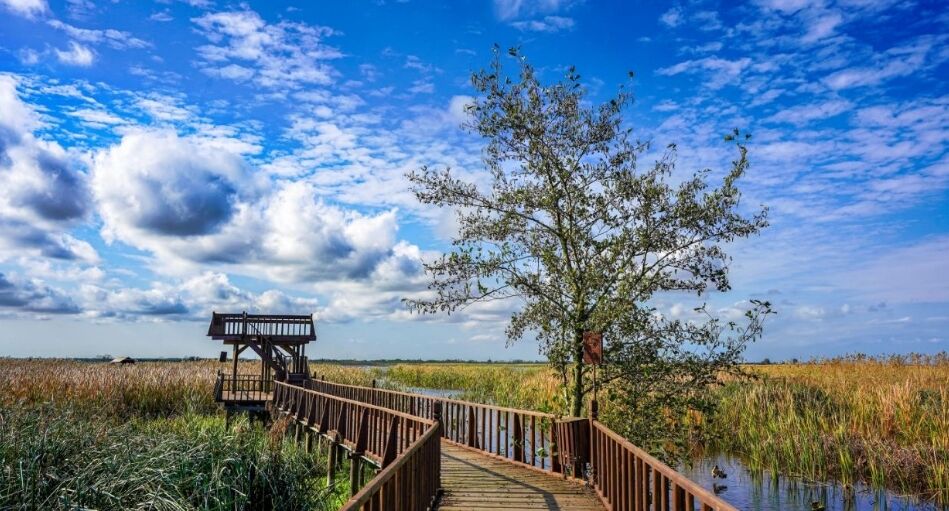 ۲/۵ هکتار از اراضی تالابی گیلان رفع تصرف شد ۲/۵ هکتار از اراضی تالابی گیلان رفع تصرف شد