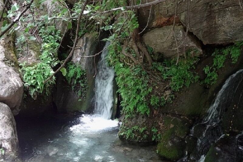 سواحل رود رونه جاذبه کم نظیر گردشگری در کهگیلویه و بویراحمد