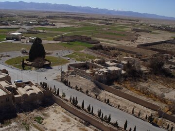 سرو ۴۵۰۰ساله ابرکوه