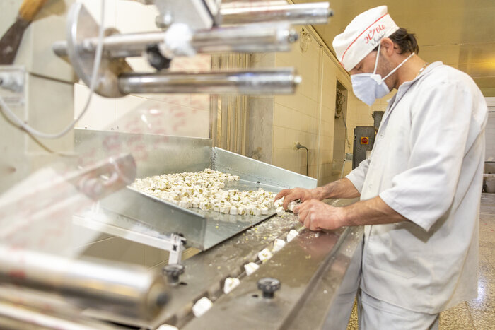 سفری شیرین به چهارمحال و بختیاری با سوغات گز بلداجی