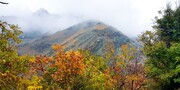 سفر به روستای شکوفه باران