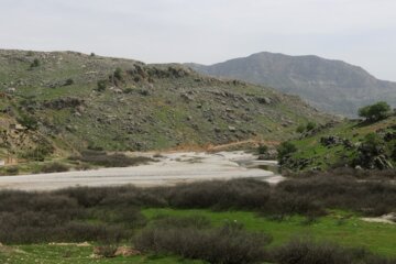 جلوه هایی از طبیعت بهاری خوزستان