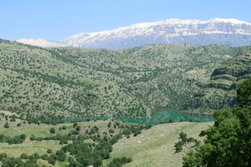 جلوه هایی از طبیعت بهاری خوزستان