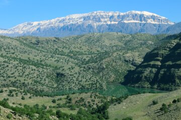 جلوه هایی از طبیعت بهاری خوزستان