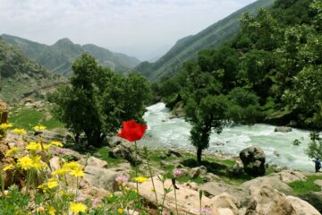 جلوه هایی از طبیعت بهاری خوزستان