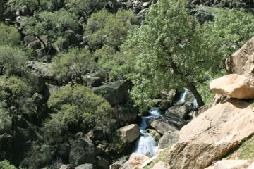 جلوه هایی از طبیعت بهاری خوزستان