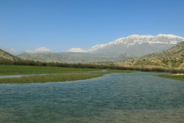 جلوه هایی از طبیعت بهاری خوزستان