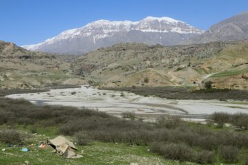 جلوه هایی از طبیعت بهاری خوزستان