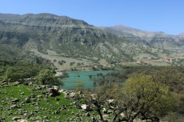 جلوه هایی از طبیعت بهاری خوزستان