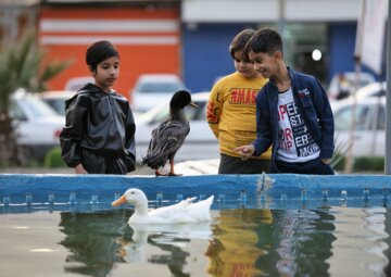 استقبال مسافران نوروزی از نمایشگاه بهار مالگه خرم‌آباد