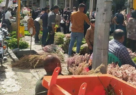 اشک مریم را در نوروز در نیاوریم اشک مریم را در نوروز در نیاوریم