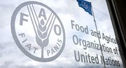 بیش از ۴۰ کشور خواستار تشکیل جلسه فوری فائو برای مقابله با بحران غذایی ناشی از جنگ اوکراین شدند