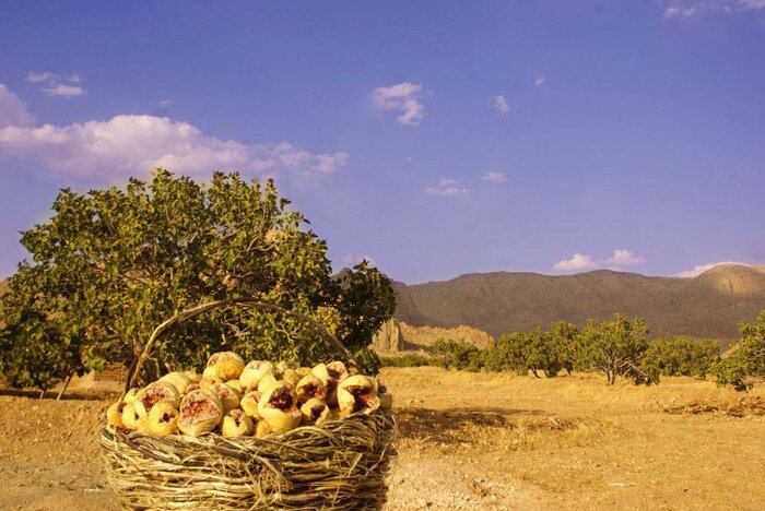 شهرستان قرآنی استهبان میزبان مسافران نوروزی 