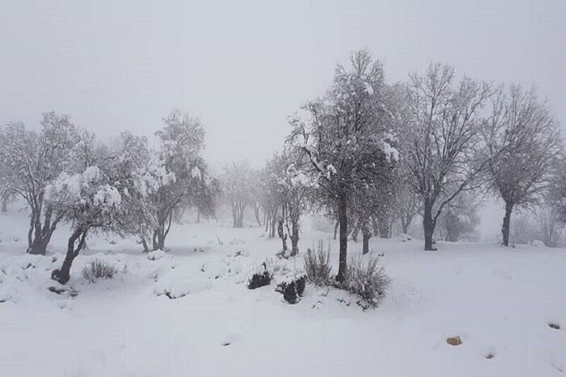 سامانه بارشی عصر جمعه از استان اردبیل خارج می‌شود