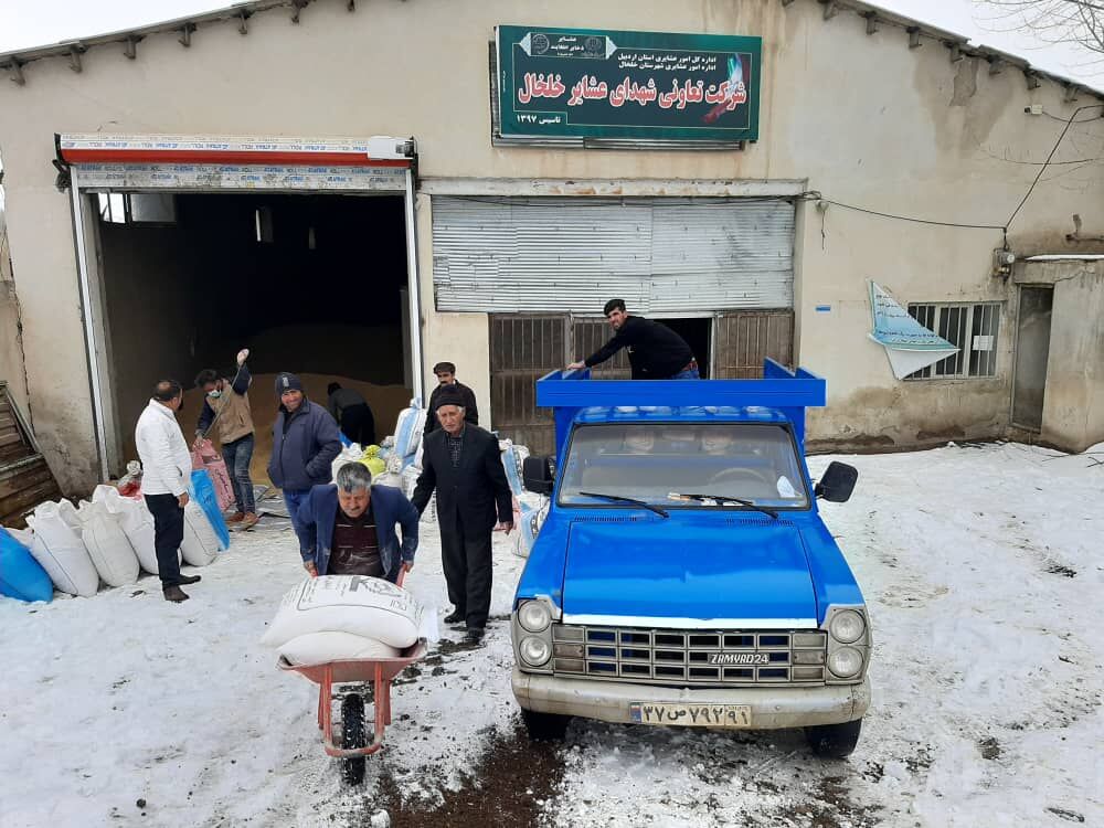 بیش از ۱۳۰ تن نهاده دامی در بین عشایر خلخال توزیع شد 