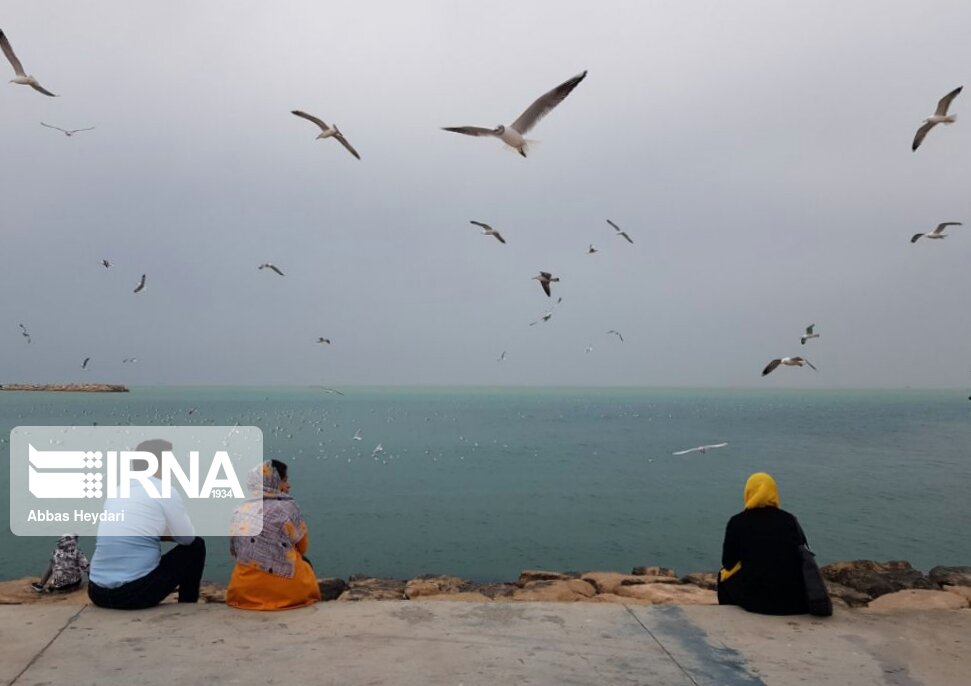 مسافران نوروزی بوشهر و گناوه را برای اقامت انتخاب نکنند