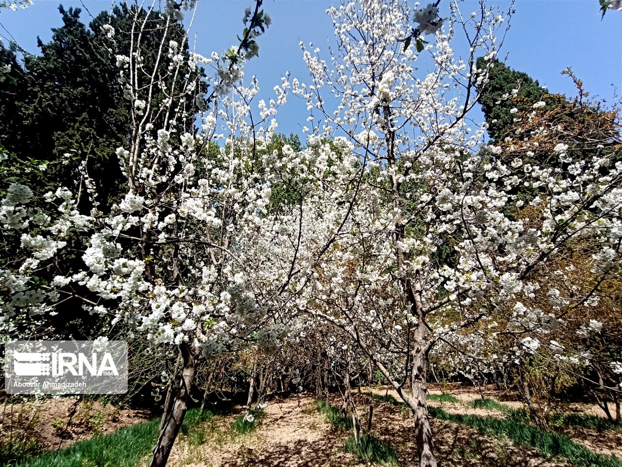 دمای مهاباد ۱۰ درجه گرم‌تر شد