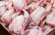 گوشت مرغ با نرخ مصوب دولتی ماه رمضان در استان همدان توزیع می‌شود