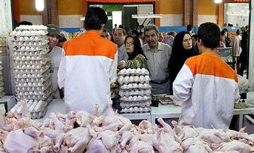 وضعیت مرغ و تخم مرغ در مشهد به حالت عادی بازگشت