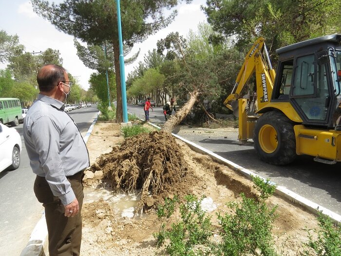 توفان ۲۳۵ میلیارد ریال خسارت به زیرساخت های ابرکوه وارد کرد