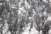 دمای هوا در جنوب آذربایجان‌غربی ۹ درجه کاهش می‌یابد