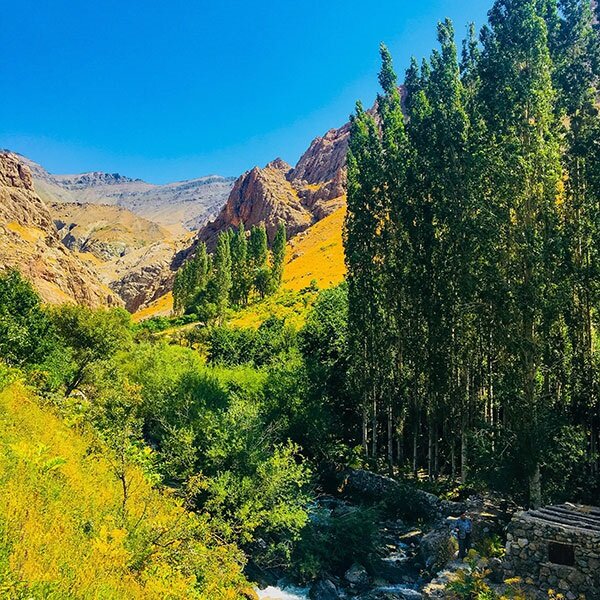 به دیدن لاله‌های روستای لالون بروید