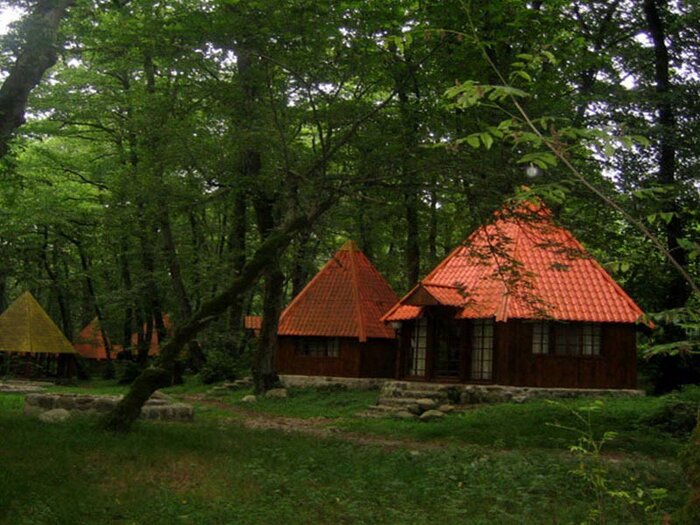 زیباترین جنگلهای شمال ایران کدامند؟