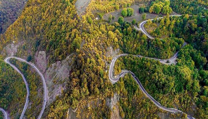 زیباترین جنگلهای شمال ایران کدامند؟