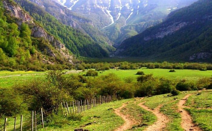 حدنگاری ۹۰ درصدی عرصه های طبیعی ،خدمت ماندگار دولت در غرب مازندران