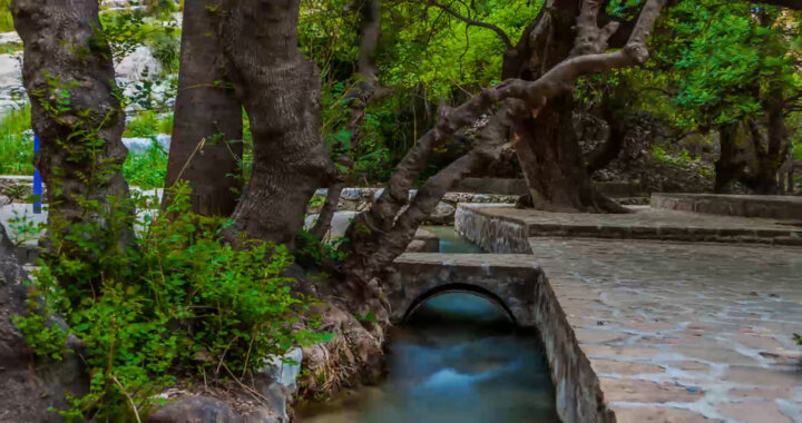 باغ چشمه بلقیس شاهکاری دلگشا و جذاب در کهگیلویه و بویراحمد