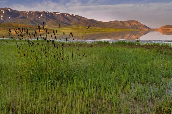 با تالابهای فیروزهای چهارمحال و بختیاری دیدار کنید