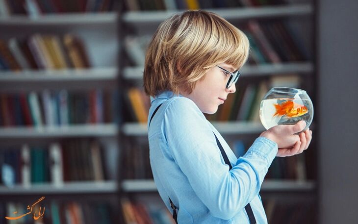ماهی قرمزهای خود را با کتاب معاوضه کنید