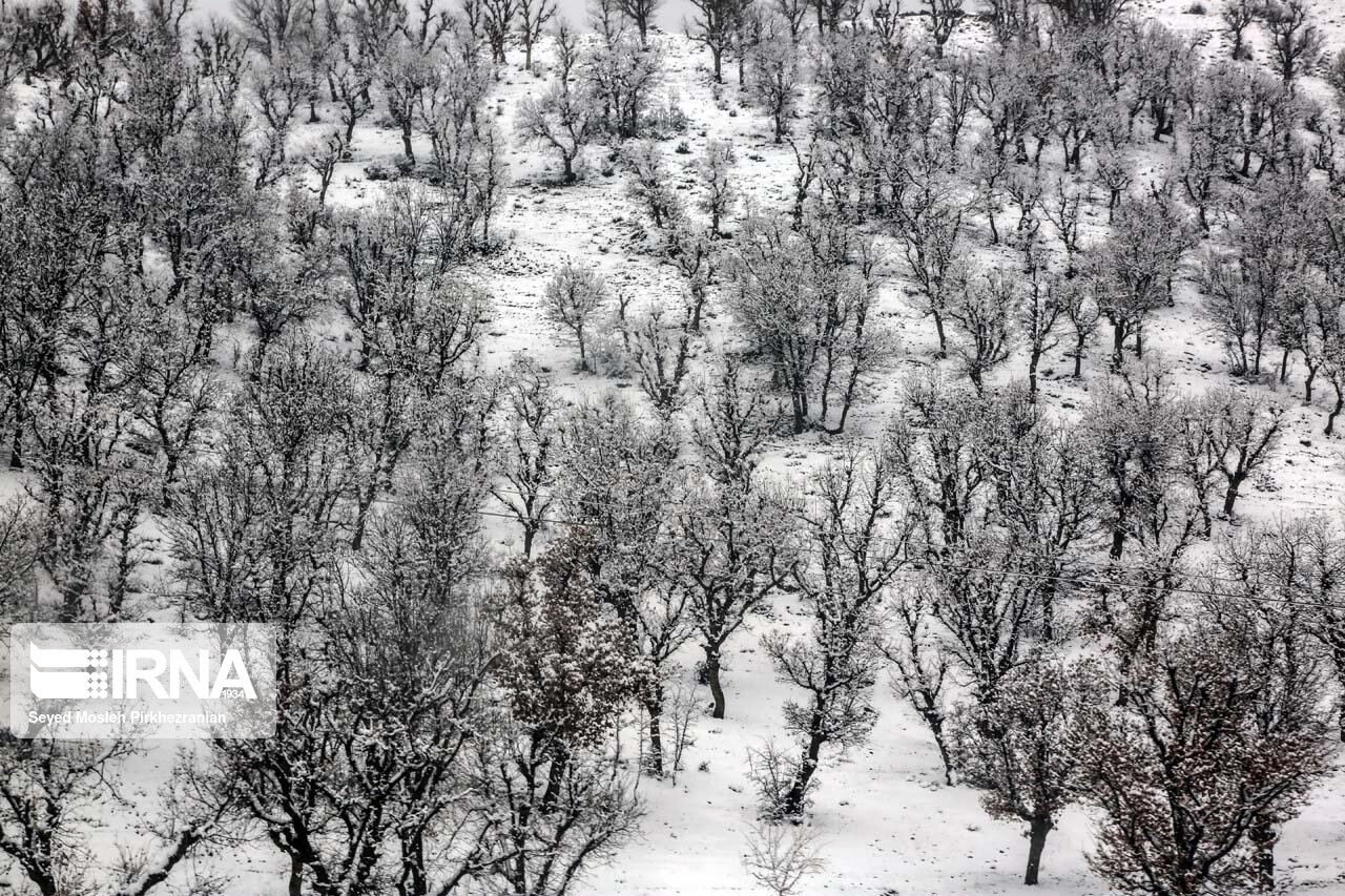 دمای هوا در جنوب آذربایجان‌غربی ۹ درجه کاهش می‌یابد