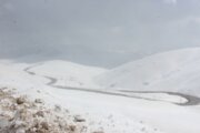 محور جدید هشتگرد به طالقان به علت کولاک مسدود شد 