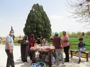 مسجد جامع وسرو4500ساله ابرکوه میزبان مسافران نوروزی