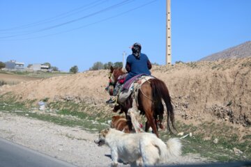 کوچ عشایر ایلام