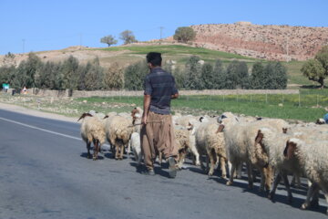 کوچ عشایر ایلام