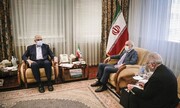 Iran, Armenia discuss developing energy ties