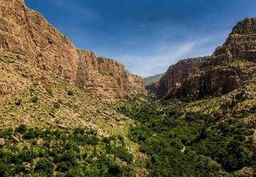فیلم | دالاهو را باید دید