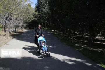 National Botanical Garden of Iran