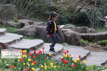 National Botanical Garden of Iran
