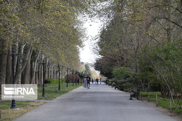 National Botanical Garden of Iran