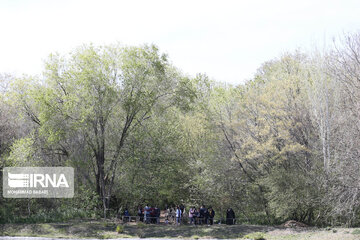 National Botanical Garden of Iran
