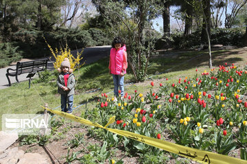 National Botanical Garden of Iran