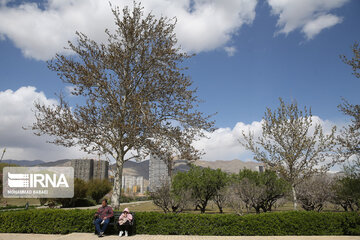 National Botanical Garden of Iran