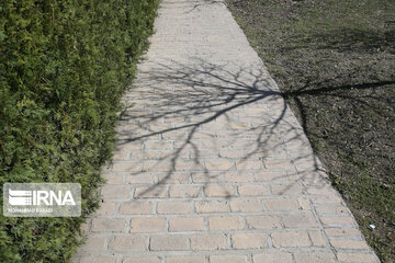 National Botanical Garden of Iran